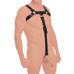 Image of English Bull Dog Harness with Cock Strap